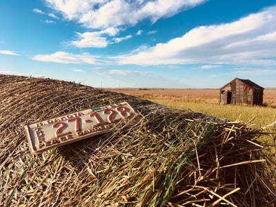 Hay on the white plates
